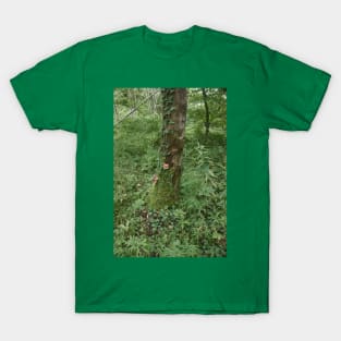 Moss-covered Tree With Mushrooms And Ivy T-Shirt